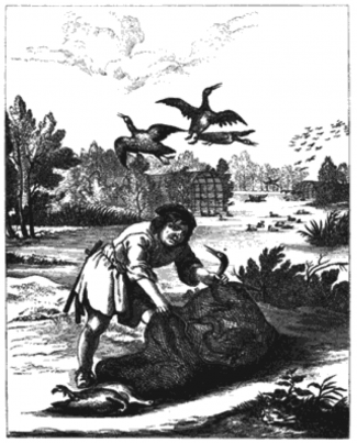 This engraving of a decoy pond from 1665 from Payne-Gallwey’s The Book of Duck Decoys is described as: ‘the earliest sketch of a Decoy and its pipes as now used in existence. It is from "The Fables of Æsop Paraphrased in Verse, adorned with Sculpture and illustrated with Annotations. By John Ogilby, Esq., Master of His Majesty's Revells in the Kingdom of Ireland. Printed by T. Roycroft for the Author, MDCLXV."’ It illustrates Fable LXXIX, ‘The Husbandman and the Stork’