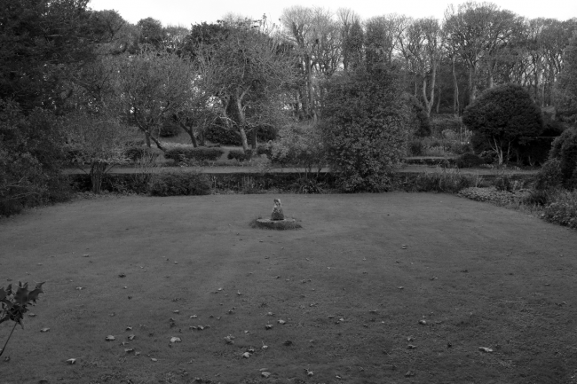 View south across the present Side Garden at Godolphin, showing the terracing of alleys and quarters running up to the shelterbelt of sycamore which separates the garden from the park (Photograph: author, 2009)