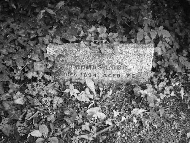 Thomas Lobb’s headstone in Devoran churchyard (Photo: courtesy Mark Norris, Newquay Zoo)